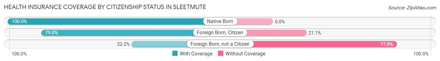 Health Insurance Coverage by Citizenship Status in Sleetmute