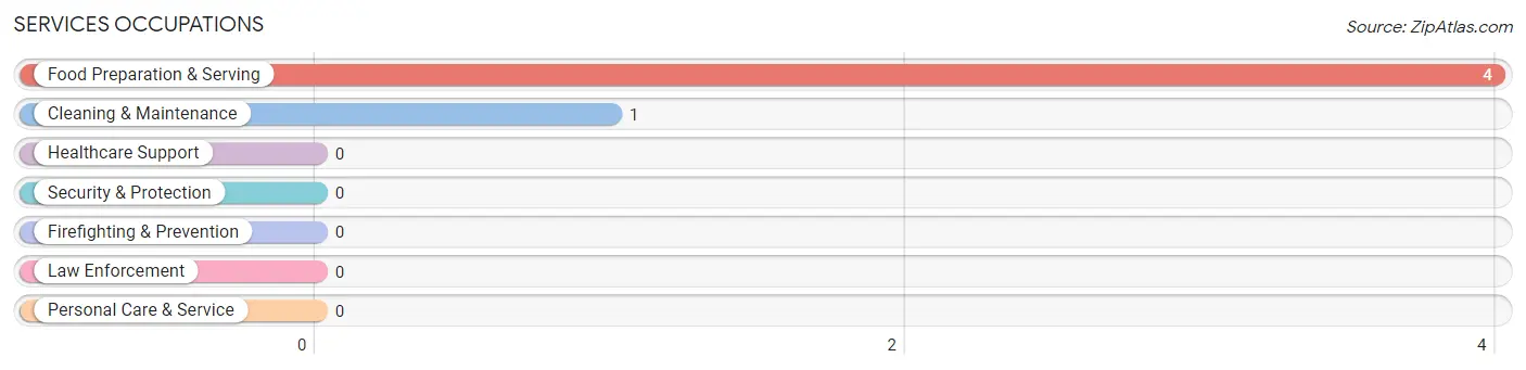 Services Occupations in Sleetmute