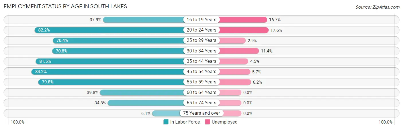 Employment Status by Age in South Lakes