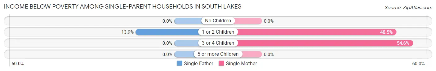 Income Below Poverty Among Single-Parent Households in South Lakes