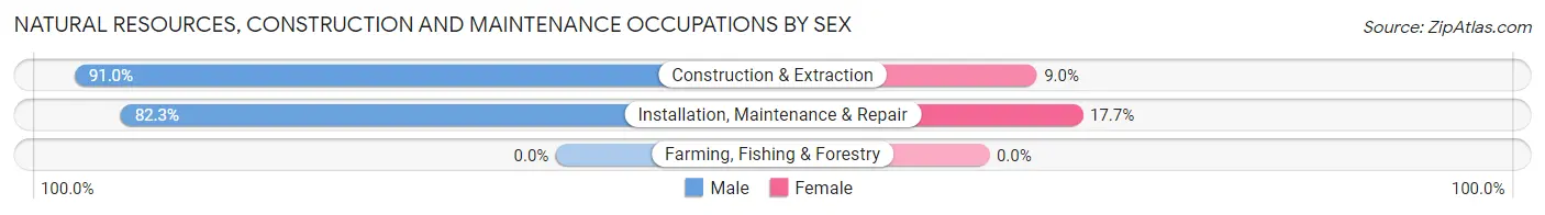 Natural Resources, Construction and Maintenance Occupations by Sex in South Lakes