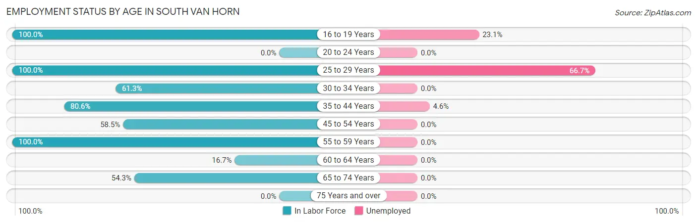 Employment Status by Age in South Van Horn