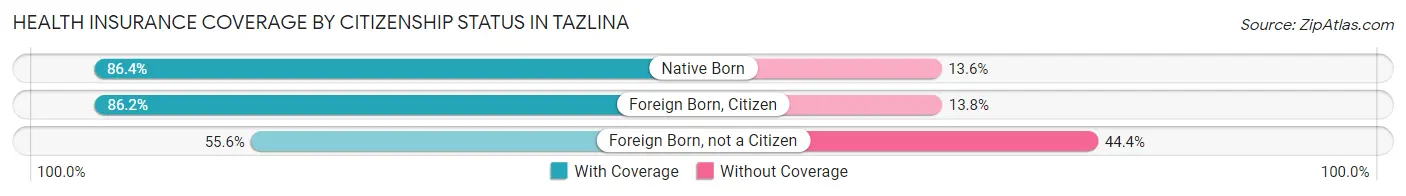 Health Insurance Coverage by Citizenship Status in Tazlina