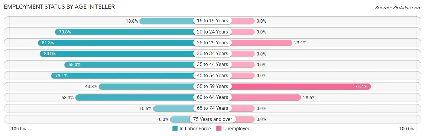 Employment Status by Age in Teller