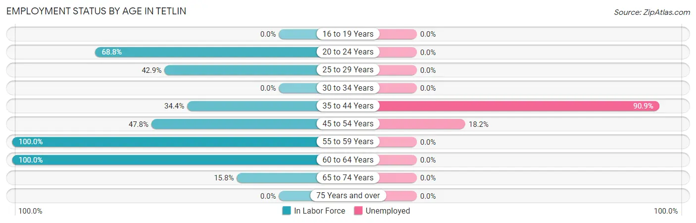 Employment Status by Age in Tetlin