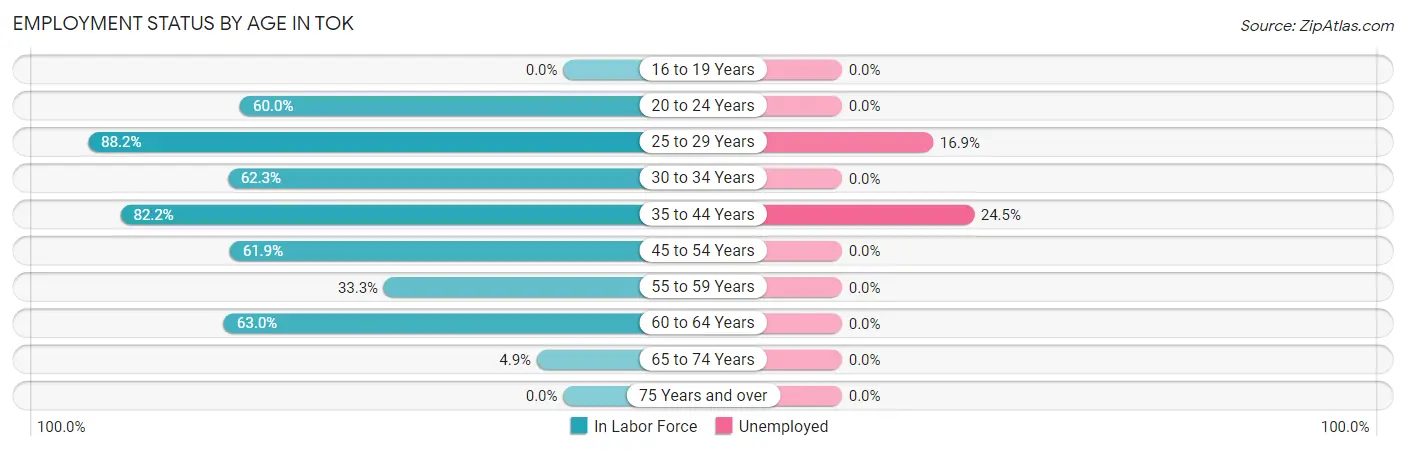 Employment Status by Age in Tok