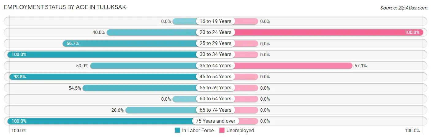 Employment Status by Age in Tuluksak