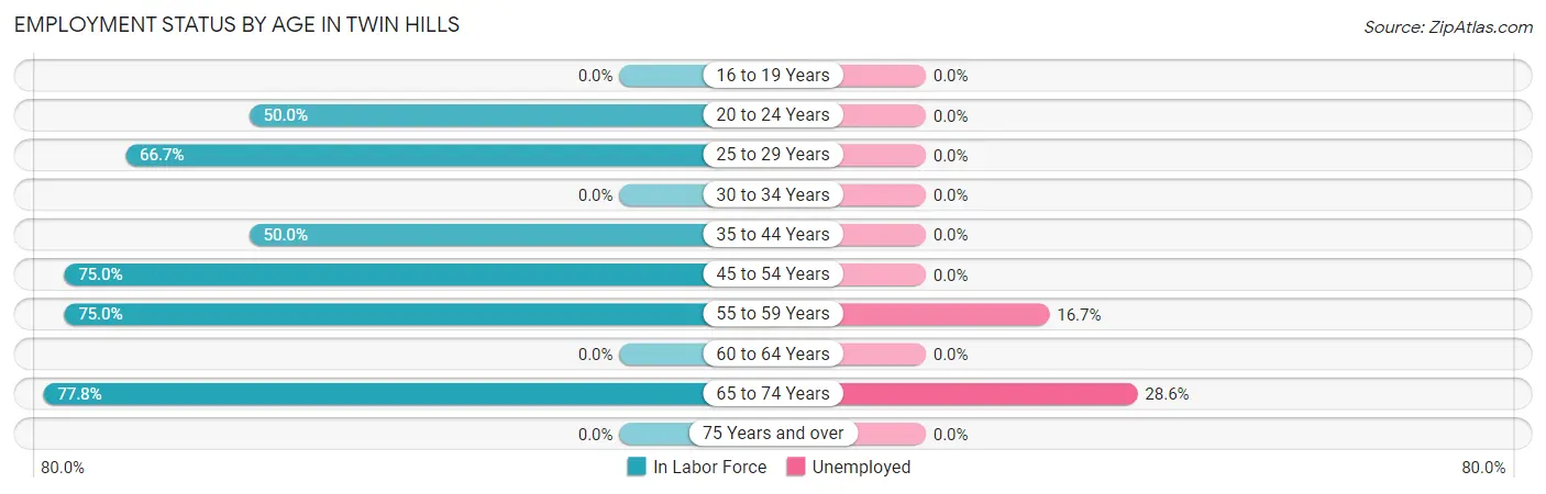 Employment Status by Age in Twin Hills