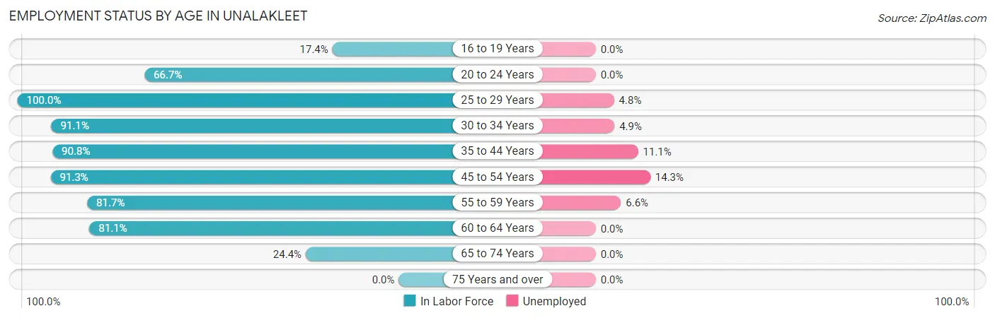 Employment Status by Age in Unalakleet