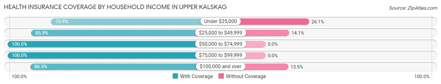 Health Insurance Coverage by Household Income in Upper Kalskag