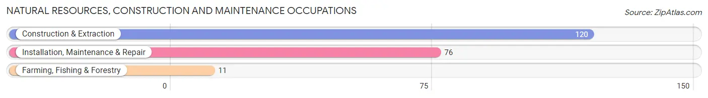 Natural Resources, Construction and Maintenance Occupations in Utqiagvik