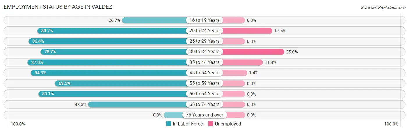Employment Status by Age in Valdez