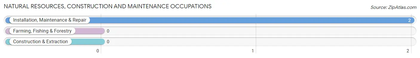 Natural Resources, Construction and Maintenance Occupations in Venetie