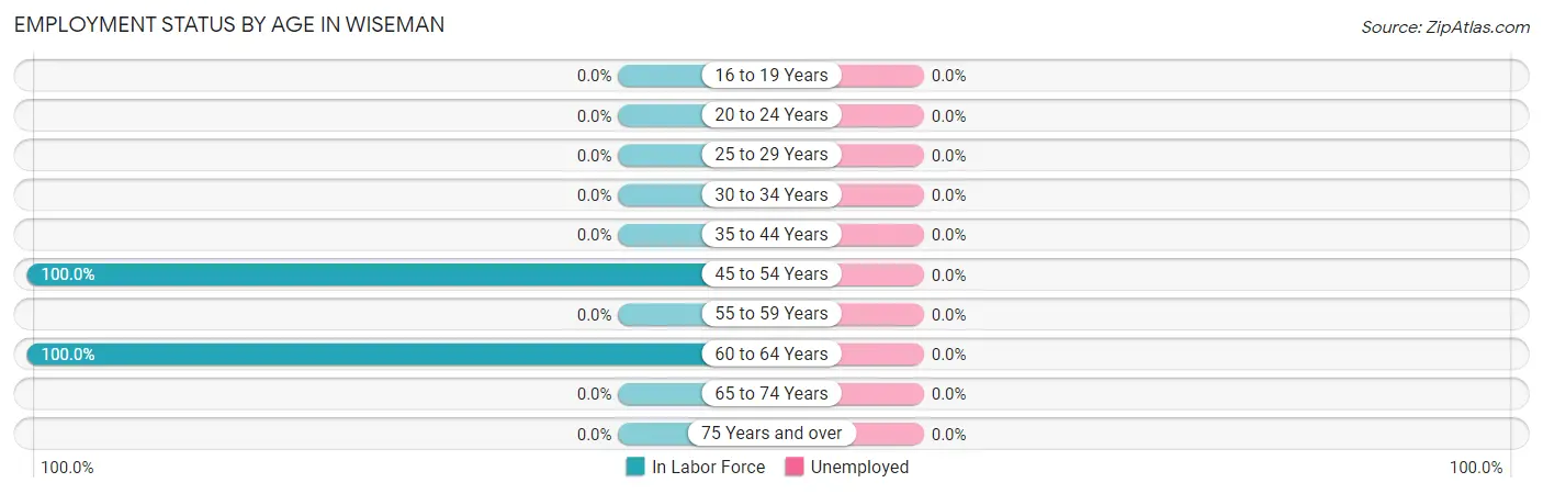 Employment Status by Age in Wiseman