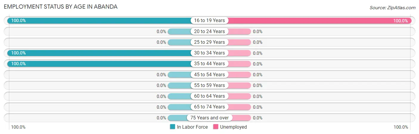 Employment Status by Age in Abanda