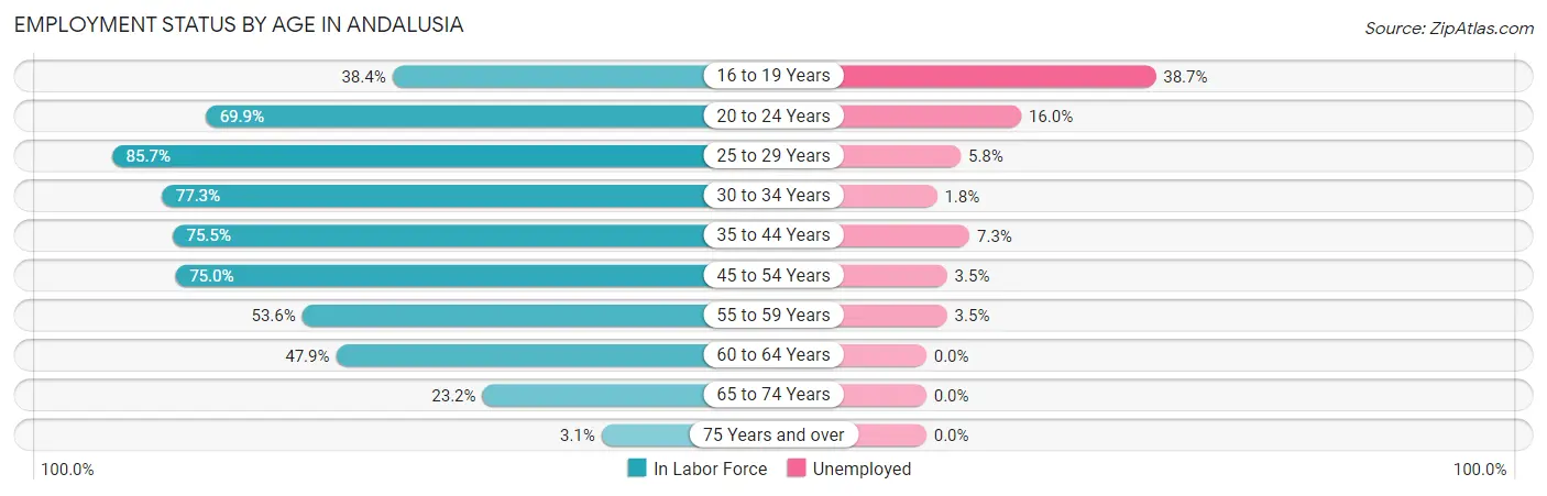 Employment Status by Age in Andalusia