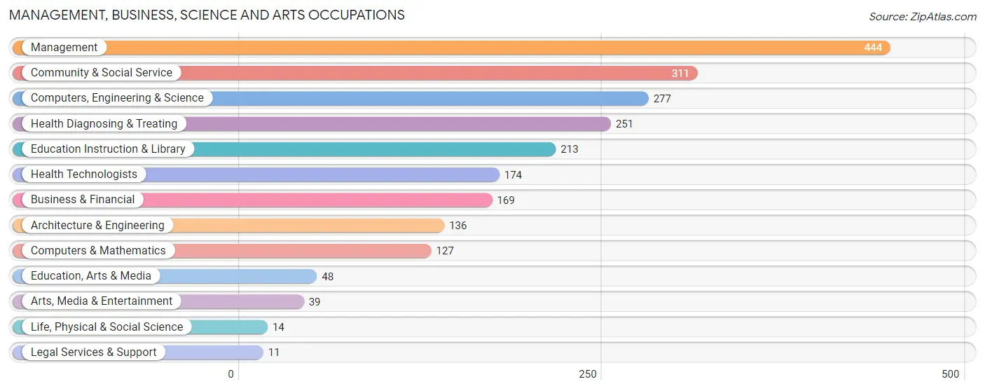 Management, Business, Science and Arts Occupations in Arab