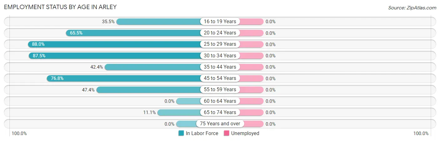 Employment Status by Age in Arley