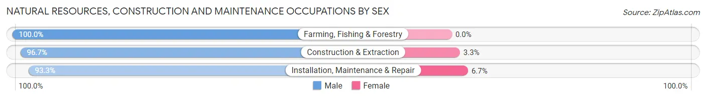 Natural Resources, Construction and Maintenance Occupations by Sex in Arley