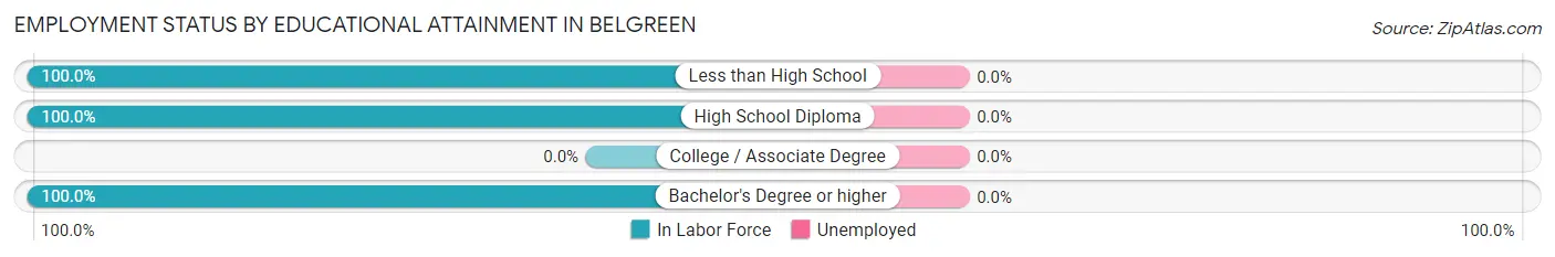 Employment Status by Educational Attainment in Belgreen