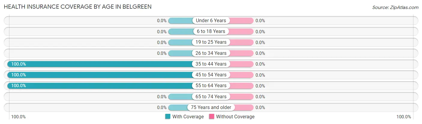 Health Insurance Coverage by Age in Belgreen