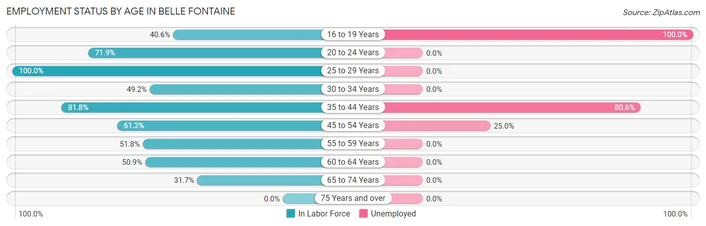 Employment Status by Age in Belle Fontaine