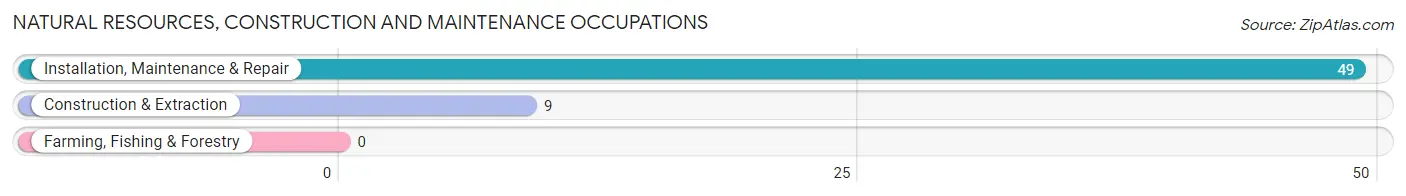 Natural Resources, Construction and Maintenance Occupations in Berlin