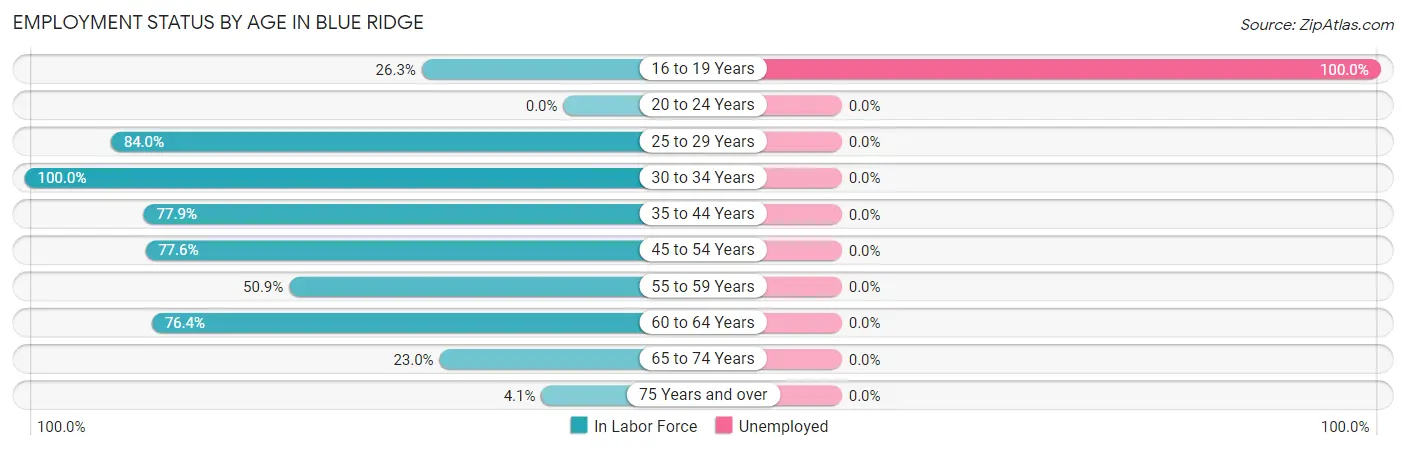 Employment Status by Age in Blue Ridge