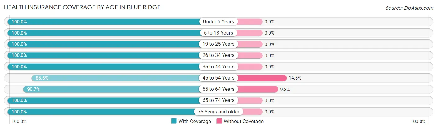 Health Insurance Coverage by Age in Blue Ridge
