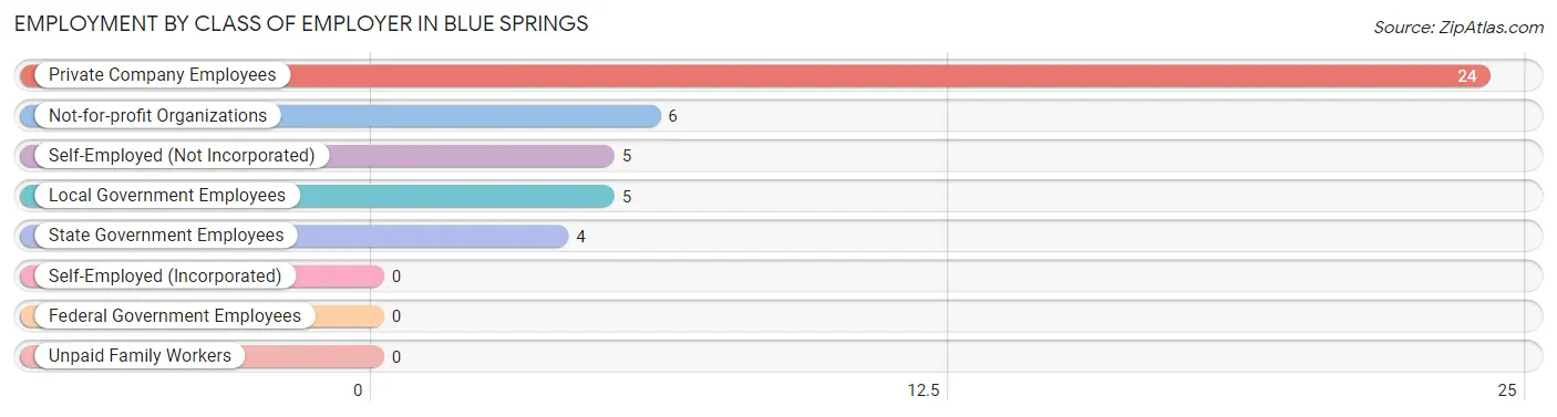 Employment by Class of Employer in Blue Springs