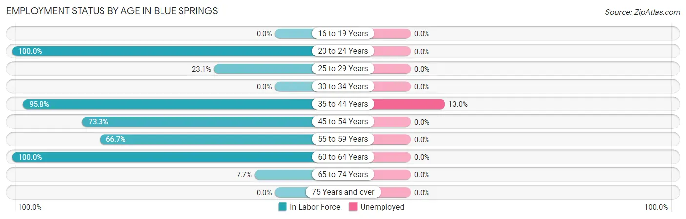 Employment Status by Age in Blue Springs