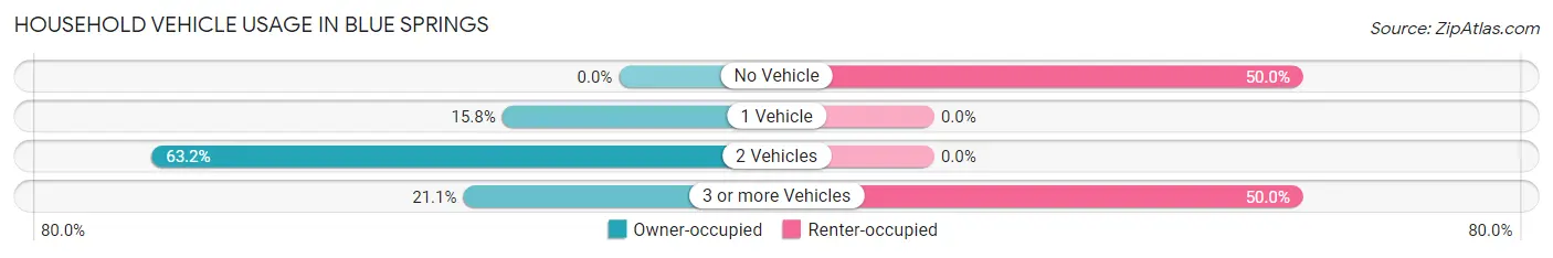 Household Vehicle Usage in Blue Springs