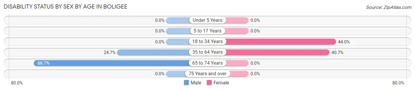 Disability Status by Sex by Age in Boligee