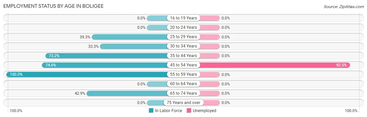 Employment Status by Age in Boligee