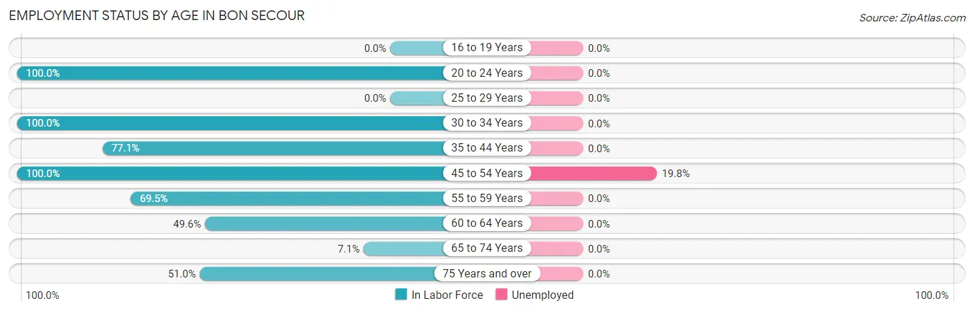 Employment Status by Age in Bon Secour