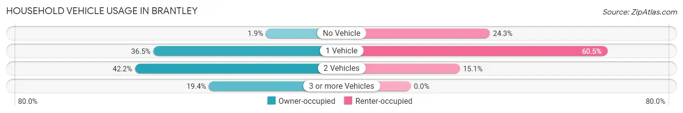 Household Vehicle Usage in Brantley