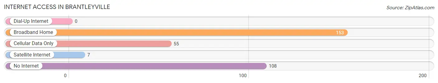 Internet Access in Brantleyville