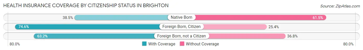 Health Insurance Coverage by Citizenship Status in Brighton