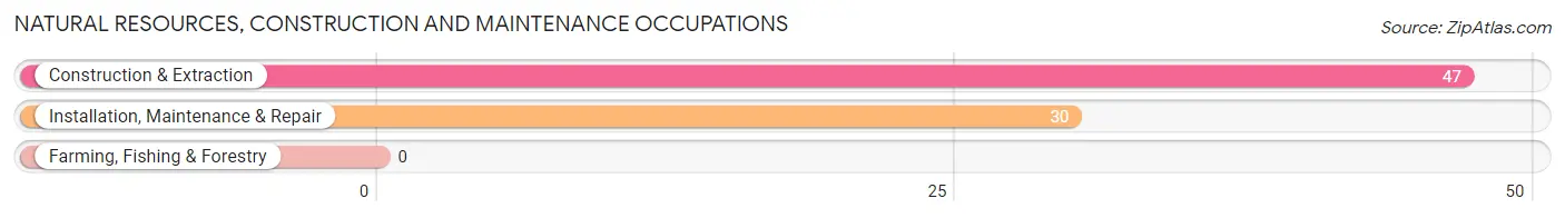 Natural Resources, Construction and Maintenance Occupations in Brighton