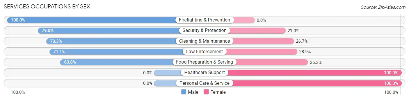 Services Occupations by Sex in Brighton