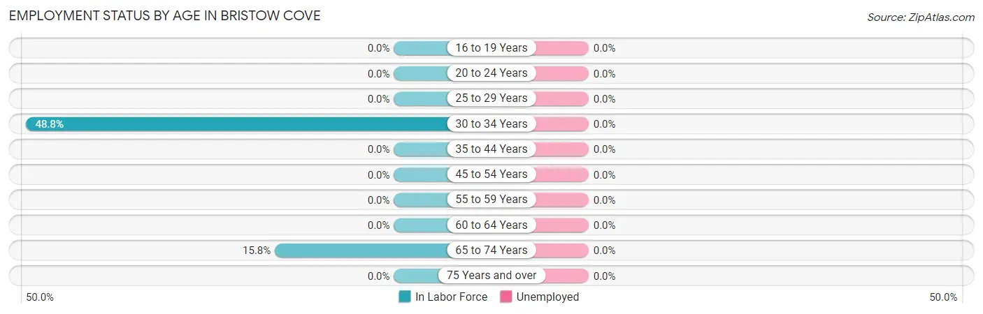 Employment Status by Age in Bristow Cove