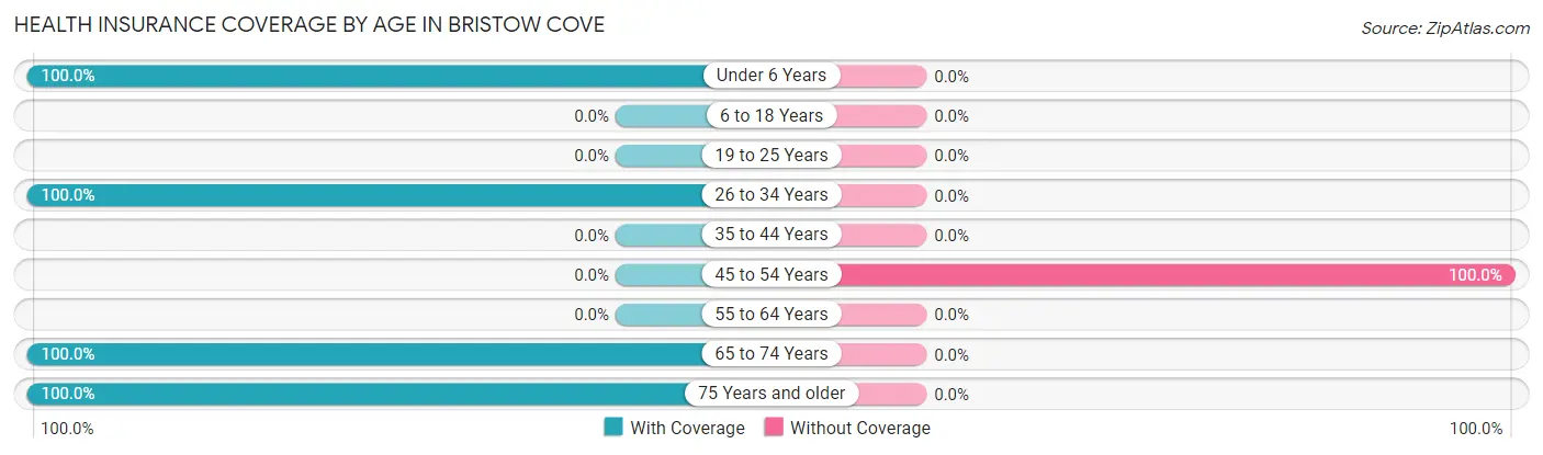 Health Insurance Coverage by Age in Bristow Cove