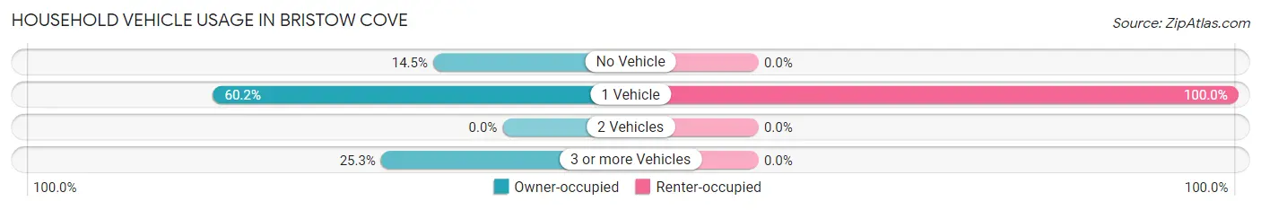 Household Vehicle Usage in Bristow Cove