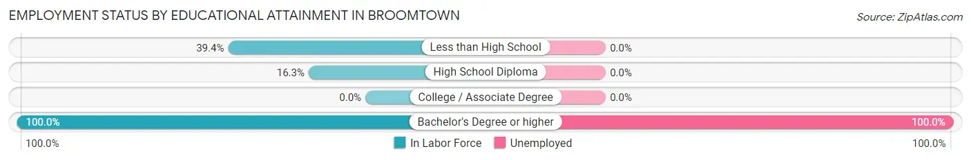 Employment Status by Educational Attainment in Broomtown