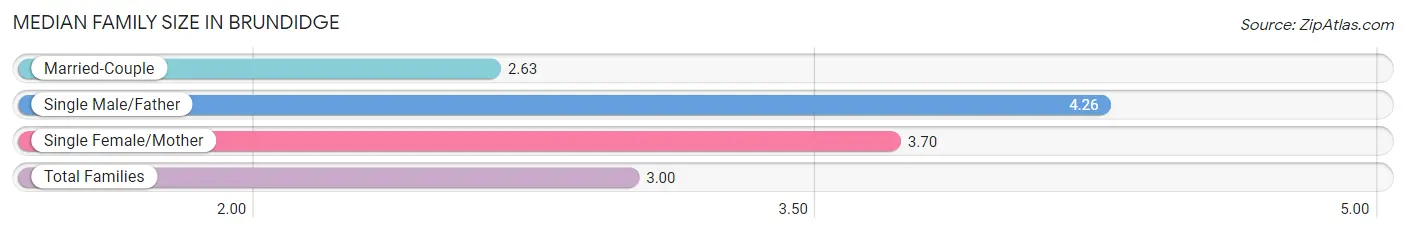 Median Family Size in Brundidge