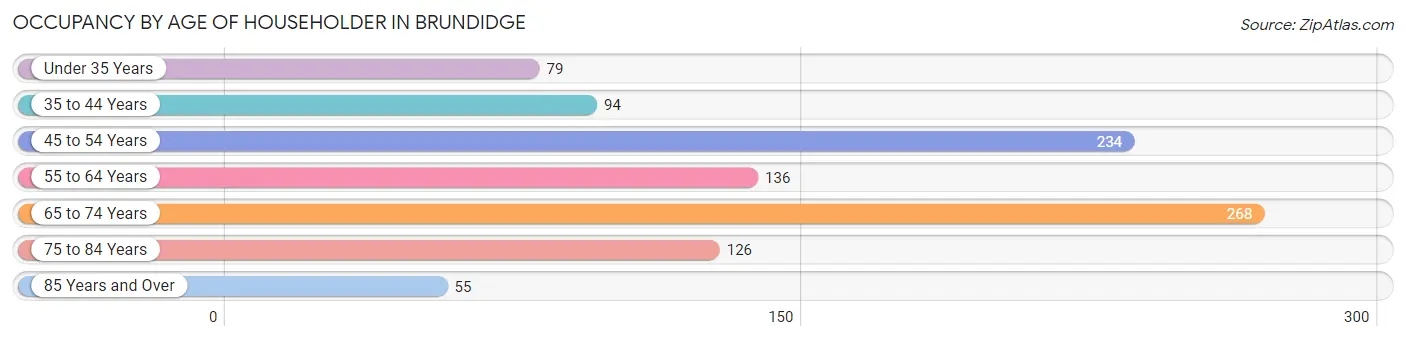 Occupancy by Age of Householder in Brundidge