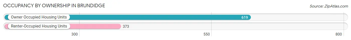 Occupancy by Ownership in Brundidge