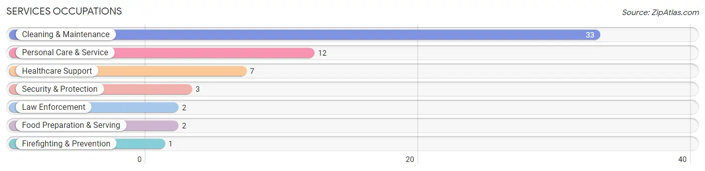 Services Occupations in Brundidge