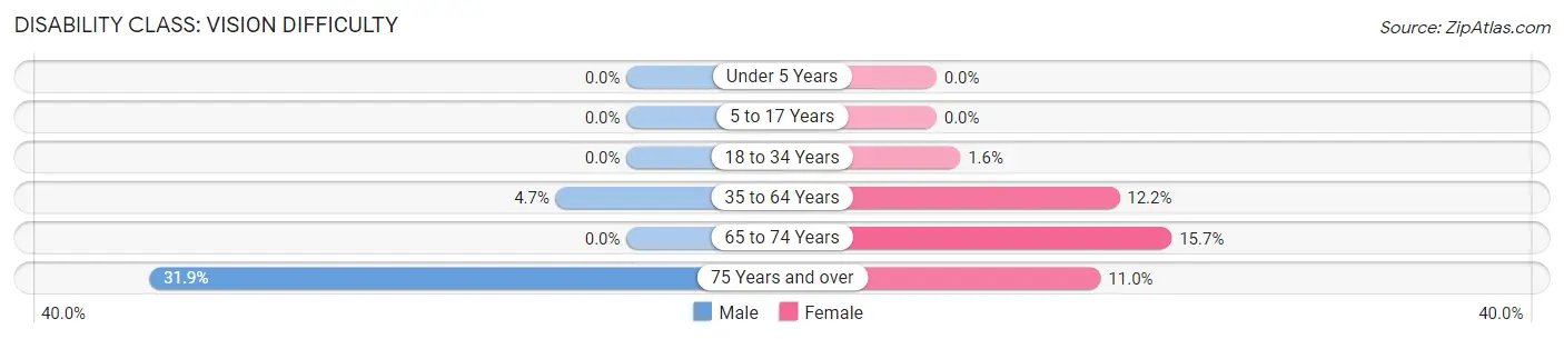 Disability in Brundidge: <span>Vision Difficulty</span>