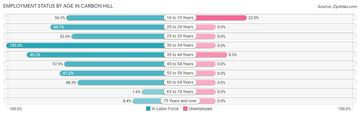 Employment Status by Age in Carbon Hill